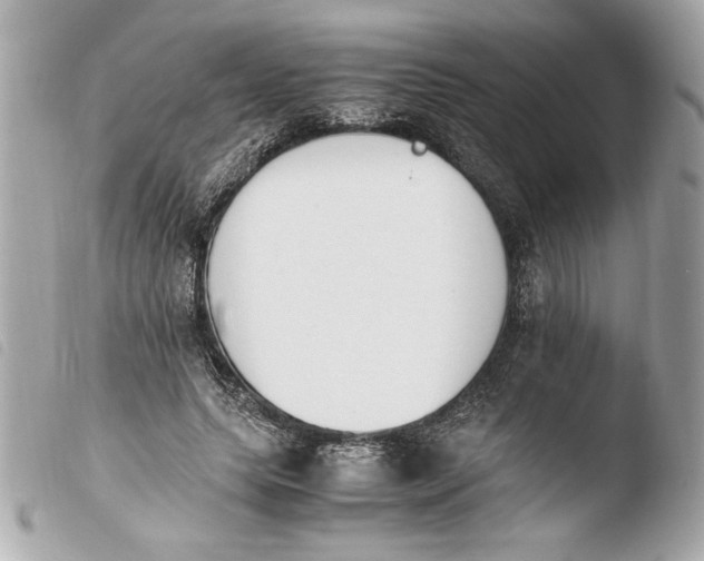 X0000103940639200810031323