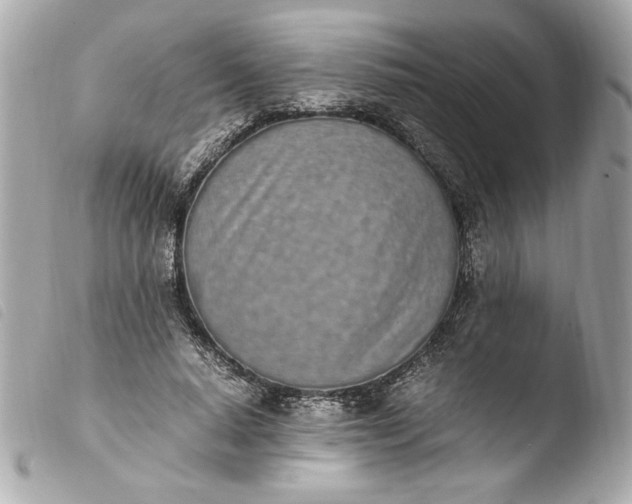 X0000103940640200810031323