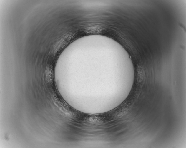 X0000103940641200810031323