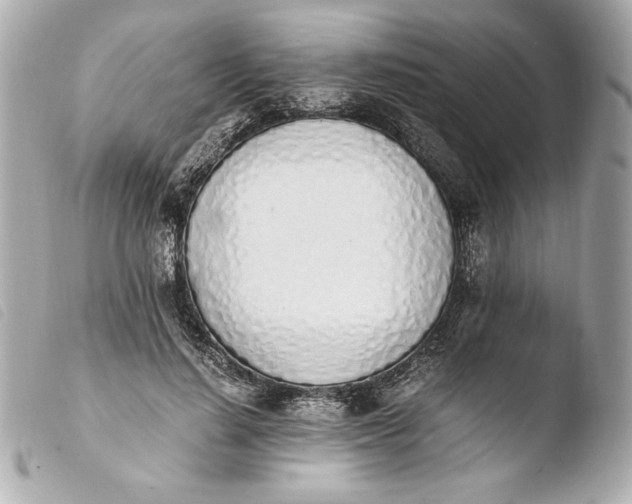 X0000103940644200810031323