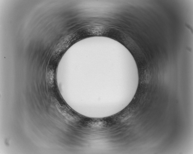 X0000103940646200810031323