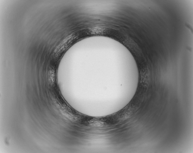 X0000103940648200810031323