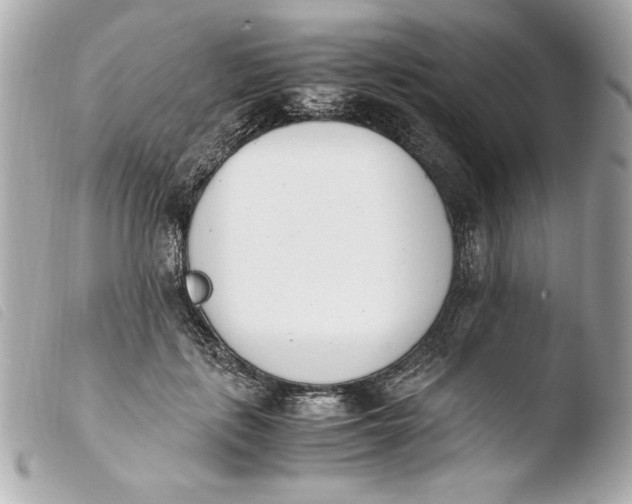 X0000103940651200810031323