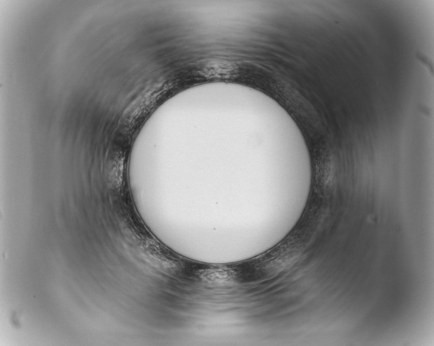 X0000103940652200810031323