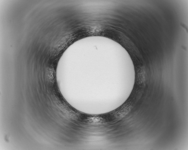 X0000103940654200810031323