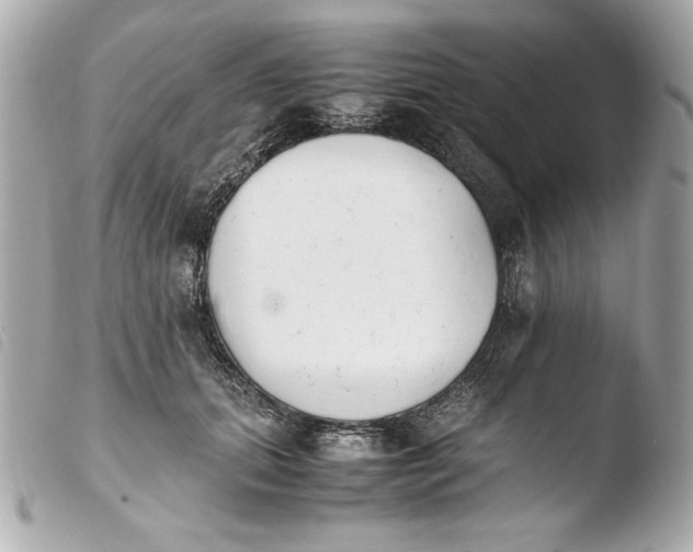 X0000103940655200810031323