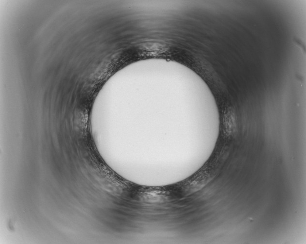 X0000103940657200810031323