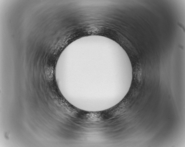 X0000103940660200810031323