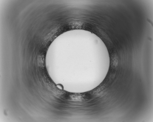 X0000103940661200810031323