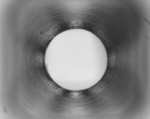 X0000103940662200810031323