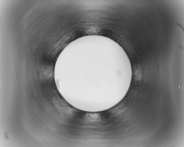 X0000103940665200810031323