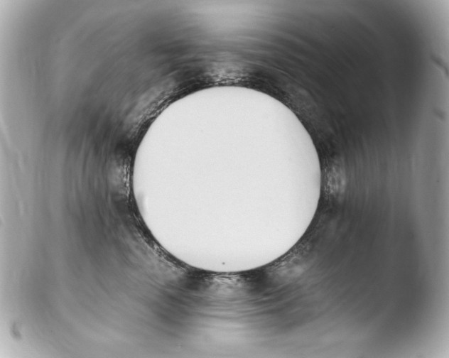 X0000103940666200810031323