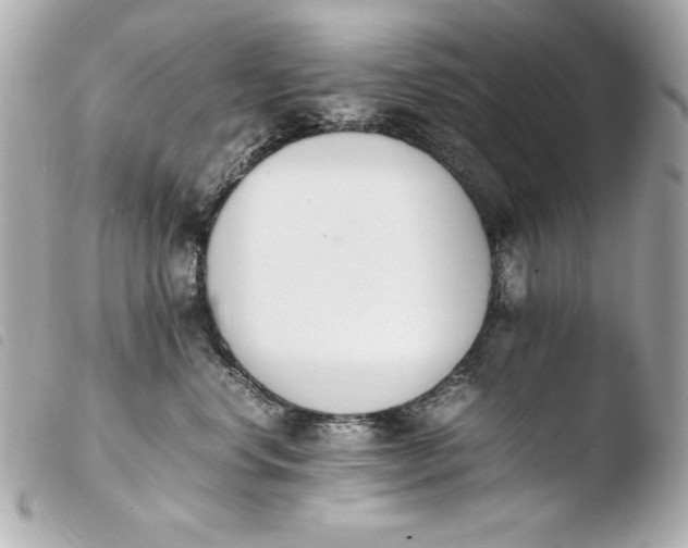 X0000103940668200810031323