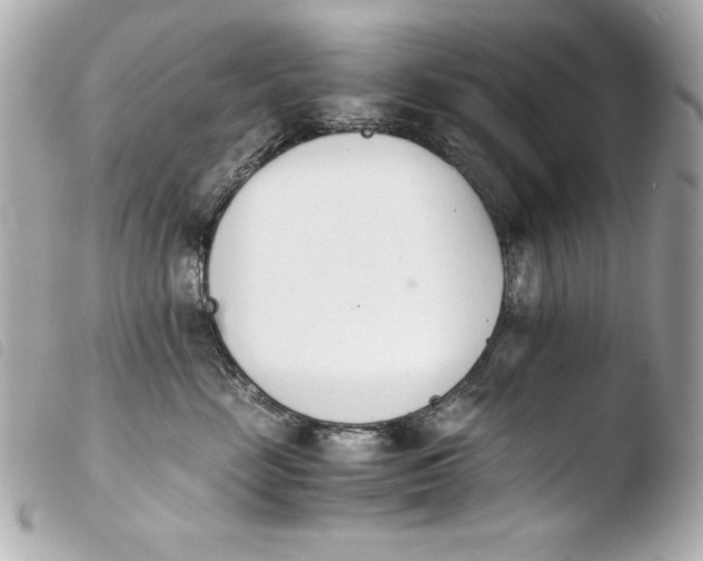 X0000103940669200810031323