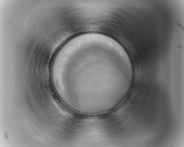 X0000103940674200810031322