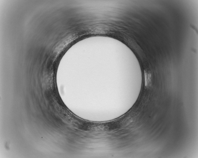 X0000103940675200810031322