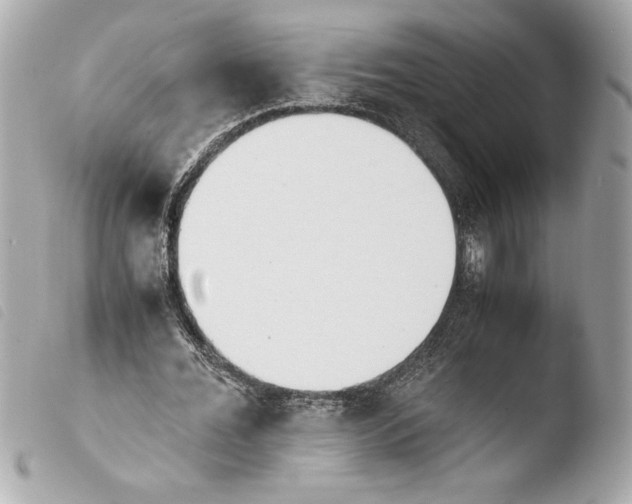 X0000103940676200810031322