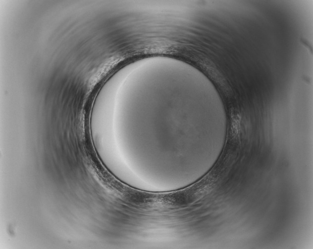 X0000103940678200810031322