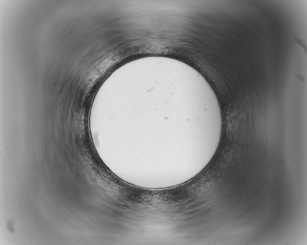 X0000103940679200810031322