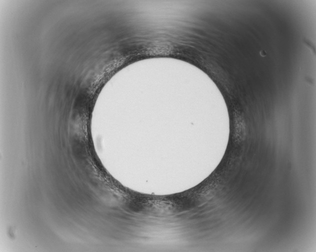 X0000103940681200810031322