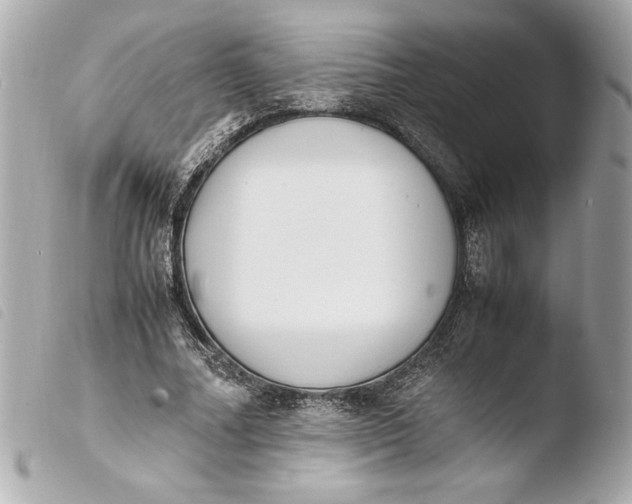 X0000103940682200810031322