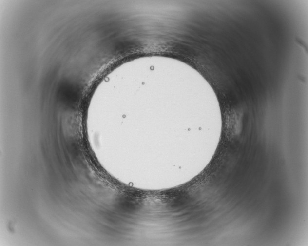 X0000103940684200810031322