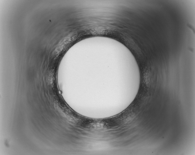 X0000103940687200810031322