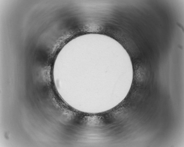 X0000103940688200810031322