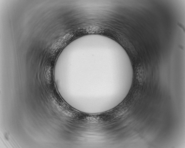 X0000103940690200810031322