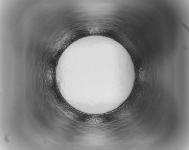 X0000103940691200810031322