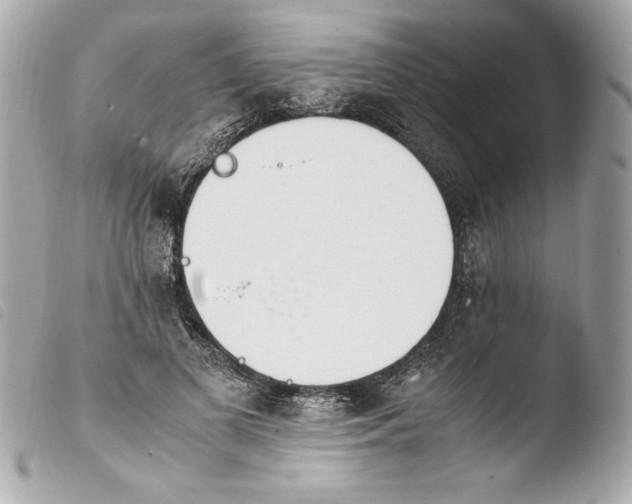 X0000103940693200810031322