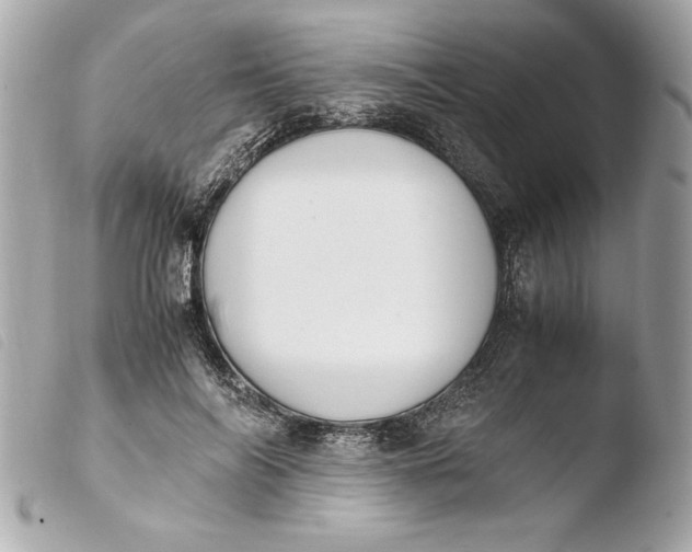 X0000103940694200810031322