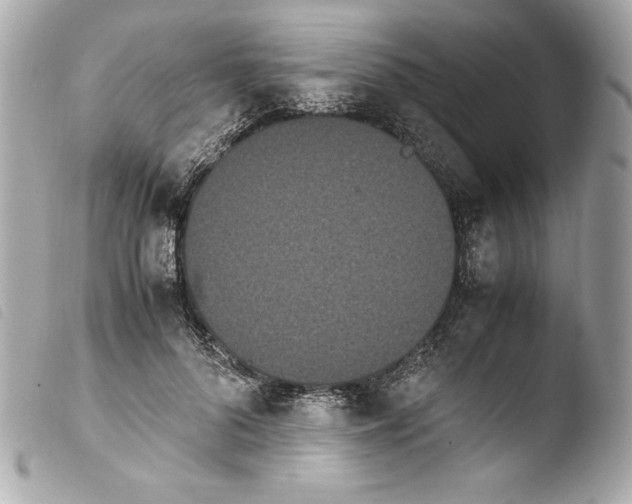 X0000103940696200810031322