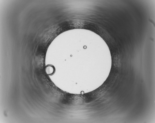 X0000103940697200810031322