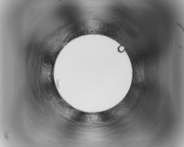 X0000103940698200810031322