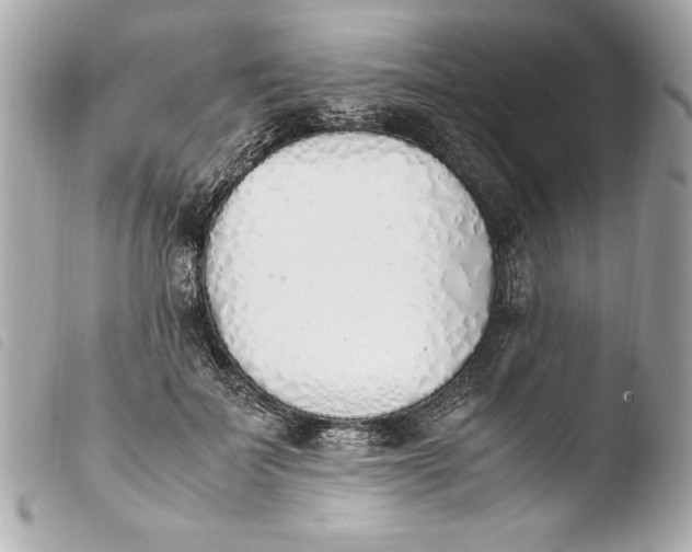 X0000103940699200810031322