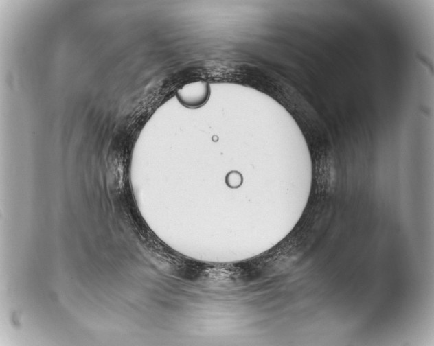 X0000103940703200810031322