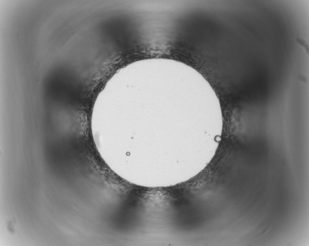 X0000103940704200810031322