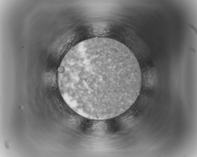 X0000103940705200810031322