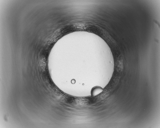 X0000103940707200810031322