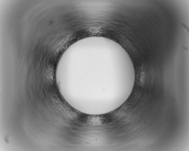 X0000103940710200810031322