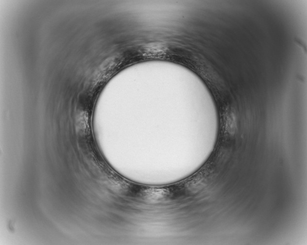 X0000103940711200810031322