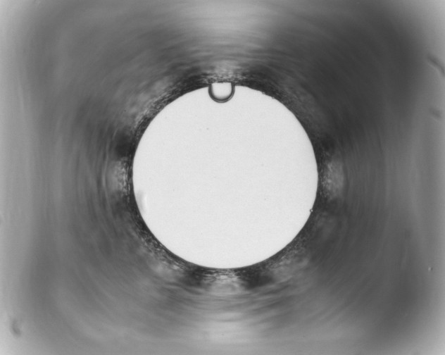 X0000103940715200810031322