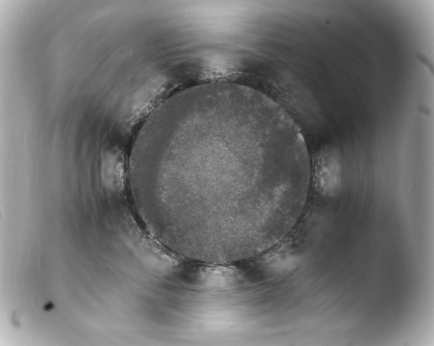 X0000103940716200810031322