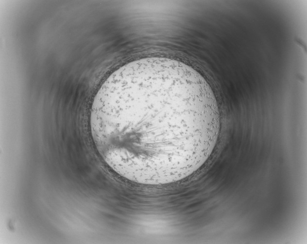 X0000103940717200810031322