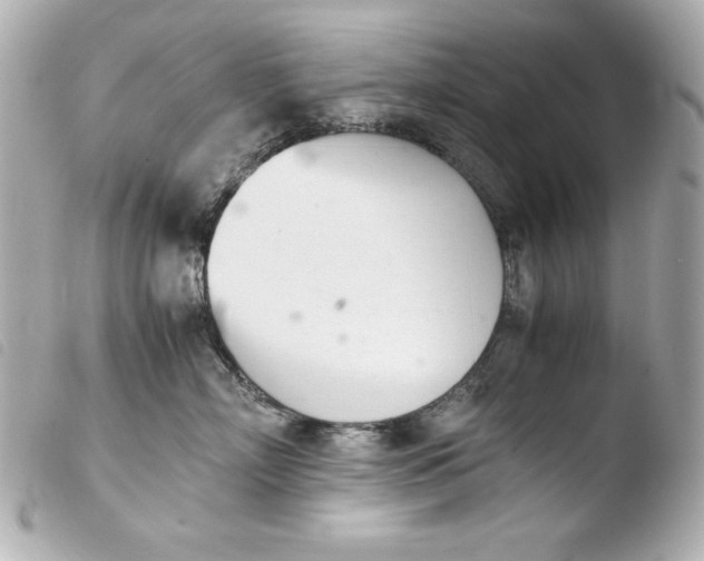 X0000103940718200810031322