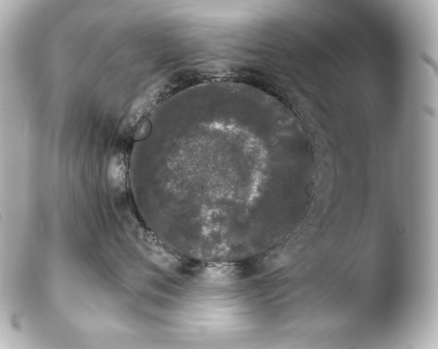 X0000103940720200810031322