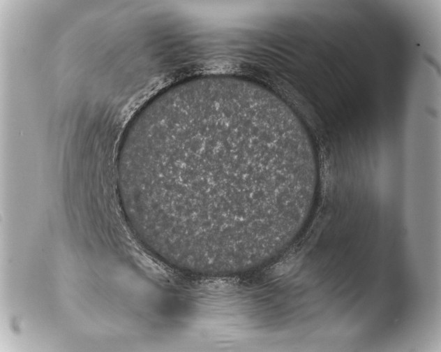 X0000103940721200810031321