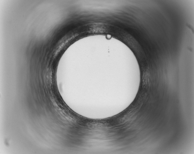 X0000103940722200810031321