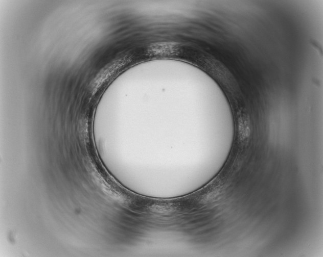 X0000103940725200810031321